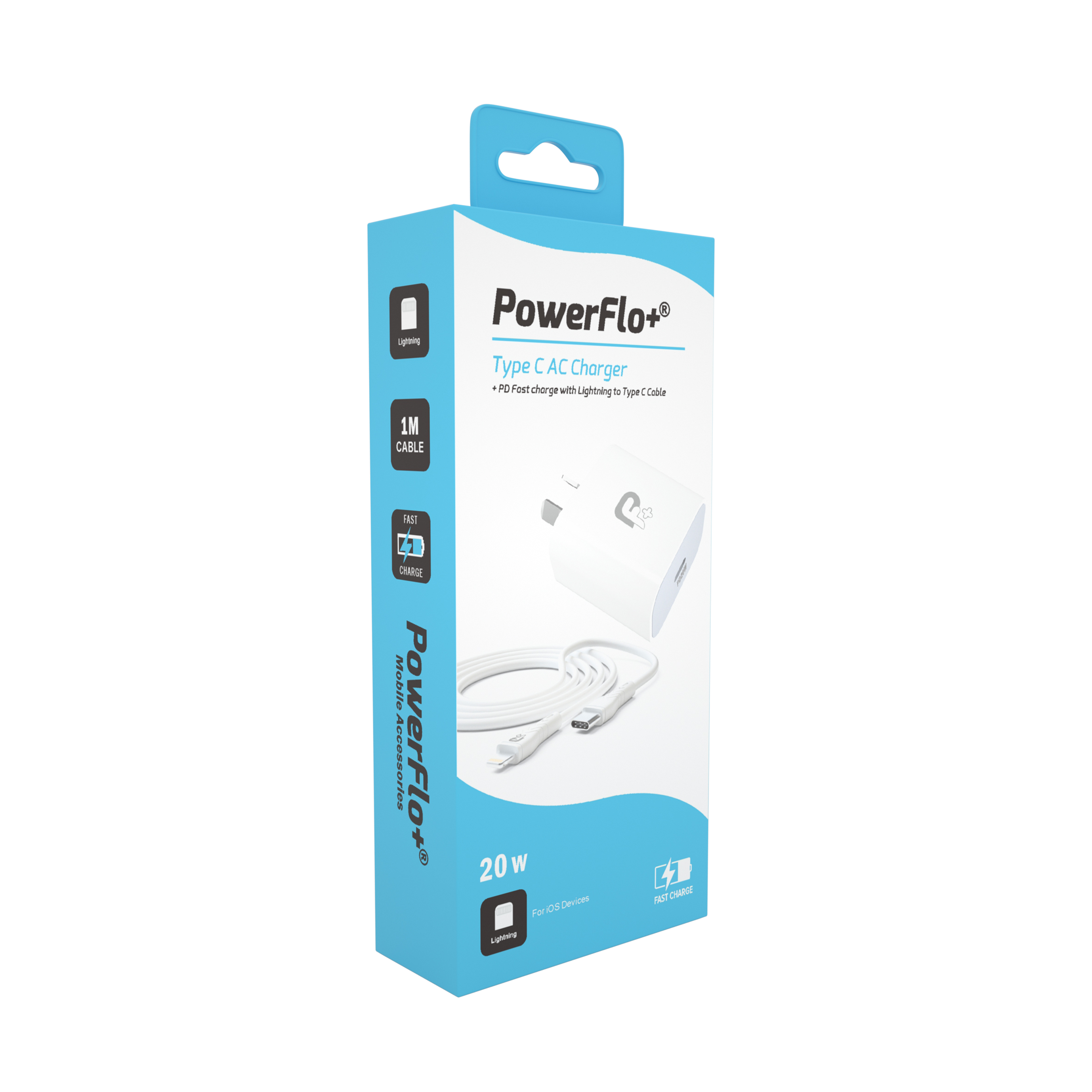 P01012010 20W AC C to L